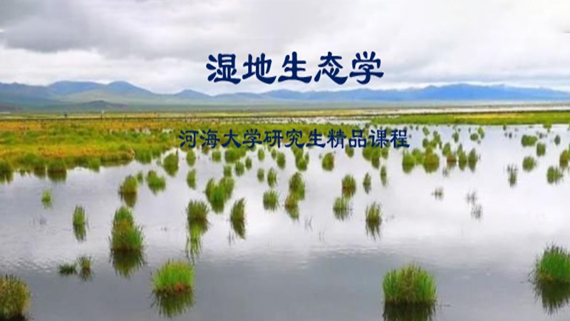 注册送体验金